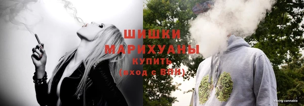 сатива Каменногорск