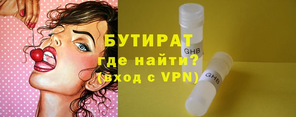 сатива Каменногорск
