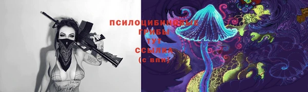 стафф Каменск-Шахтинский