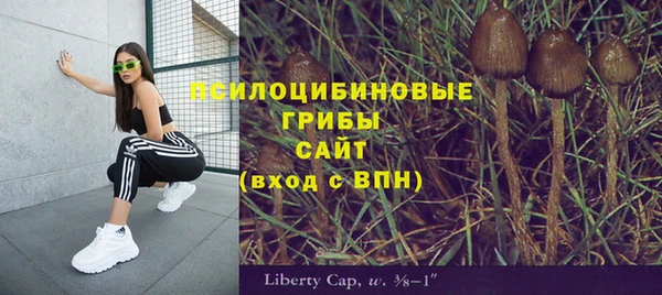 стафф Каменск-Шахтинский